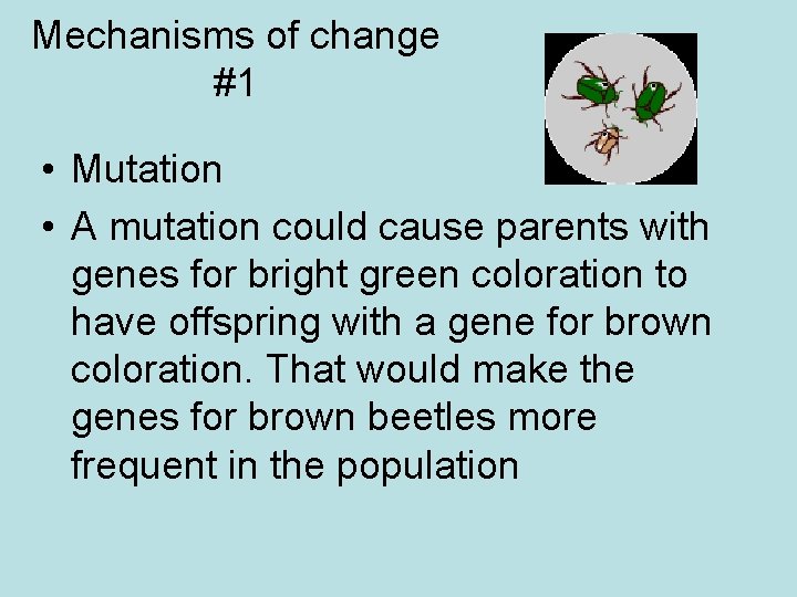 Mechanisms of change #1 • Mutation • A mutation could cause parents with genes