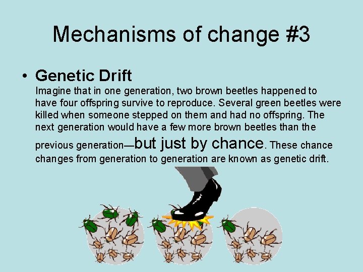 Mechanisms of change #3 • Genetic Drift Imagine that in one generation, two brown