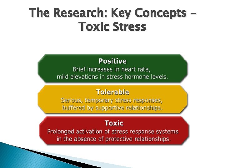 The Research: Key Concepts – Toxic Stress 