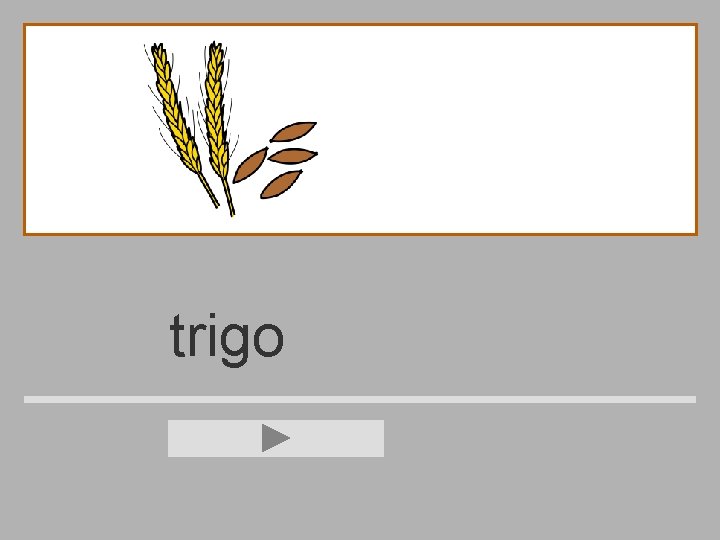 trigo 