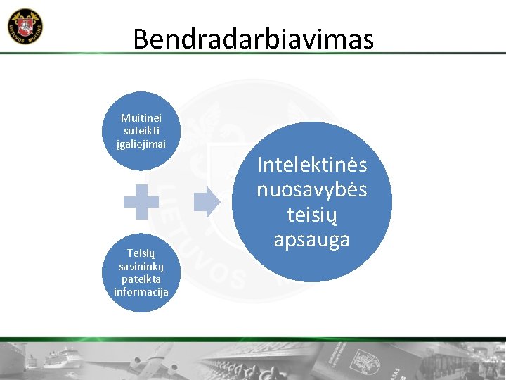 Bendradarbiavimas Muitinei suteikti įgaliojimai Teisių savininkų pateikta informacija Intelektinės nuosavybės teisių apsauga 