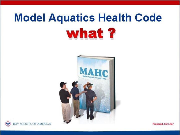 Model Aquatics Health Code what ? 