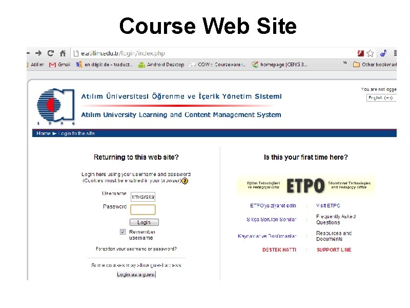 Course Web Site 
