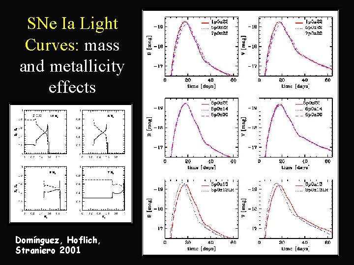 SNe Ia Light Curves: mass and metallicity effects Domínguez, Hoflich, Straniero 2001 