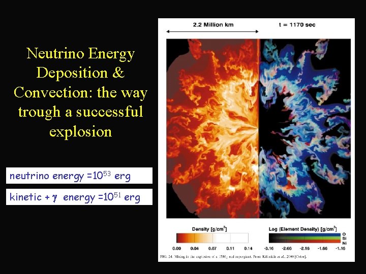 Neutrino Energy Deposition & Convection: the way trough a successful explosion neutrino energy =1053