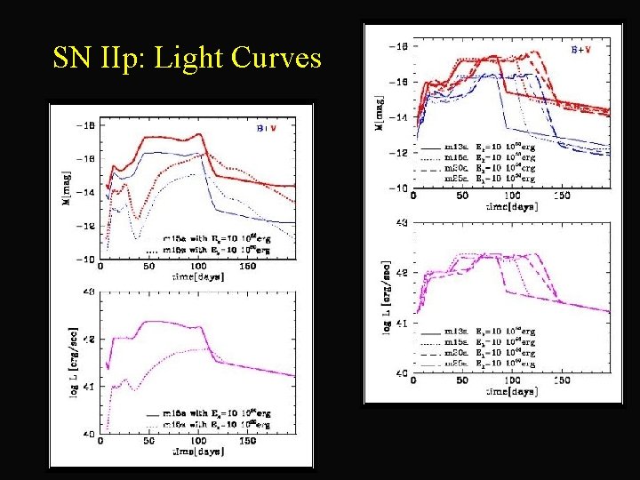 SN IIp: Light Curves 