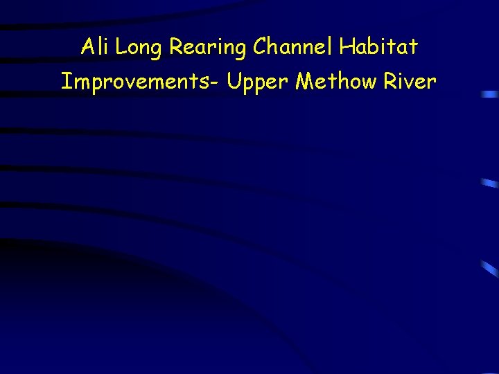 Ali Long Rearing Channel Habitat Improvements- Upper Methow River 