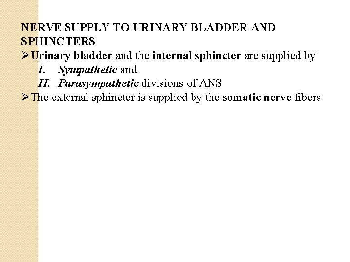 NERVE SUPPLY TO URINARY BLADDER AND SPHINCTERS ØUrinary bladder and the internal sphincter are