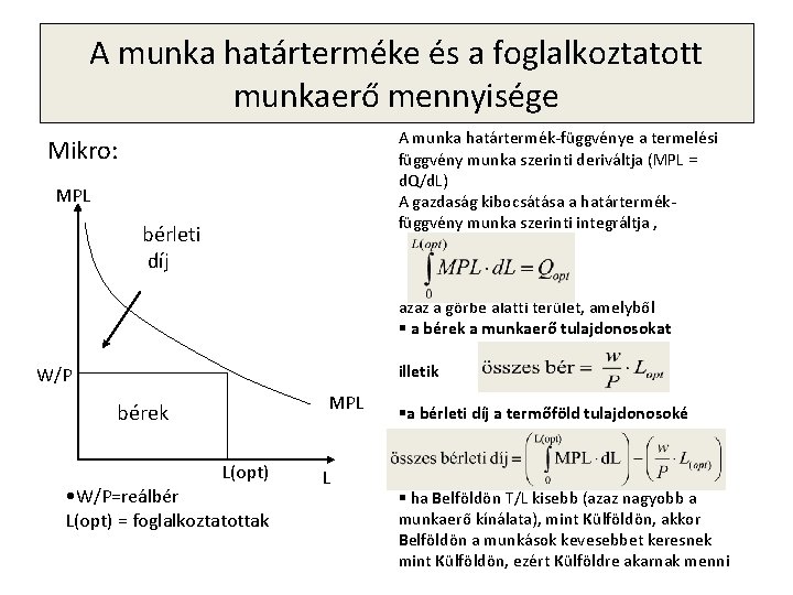 A munka határterméke és a foglalkoztatott munkaerő mennyisége A munka határtermék-függvénye a termelési függvény