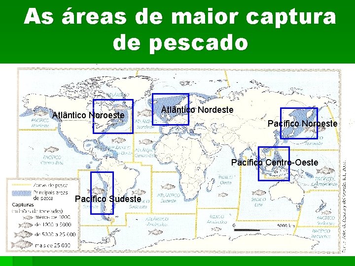 As áreas de maior captura de pescado Atlântico Noroeste Atlântico Nordeste Pacífico Noroeste Pacífico