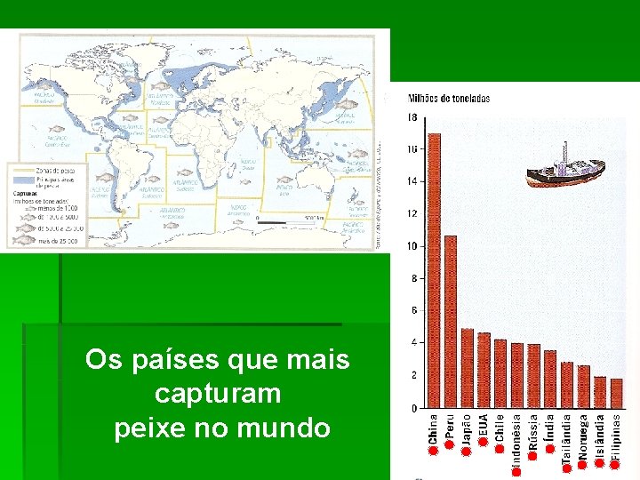 Os países que mais capturam peixe no mundo 