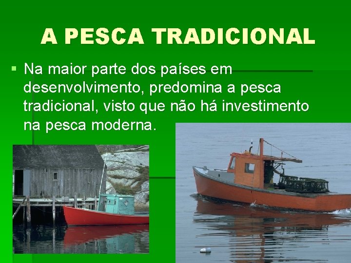 A PESCA TRADICIONAL § Na maior parte dos países em desenvolvimento, predomina a pesca