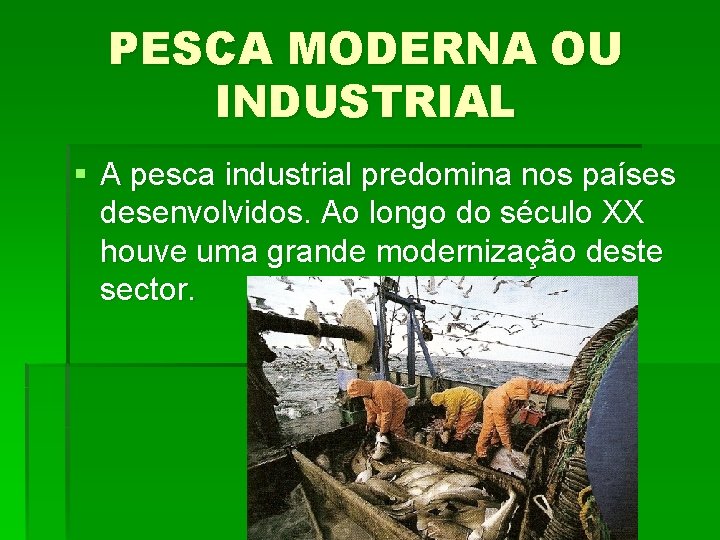 PESCA MODERNA OU INDUSTRIAL § A pesca industrial predomina nos países desenvolvidos. Ao longo