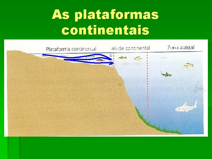 As plataformas continentais 