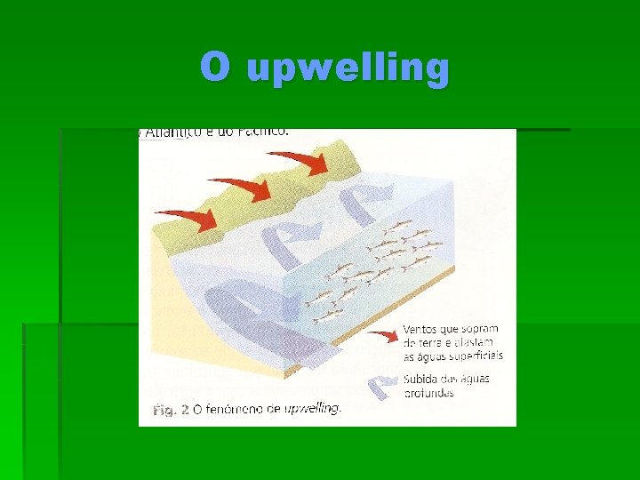 O upwelling 