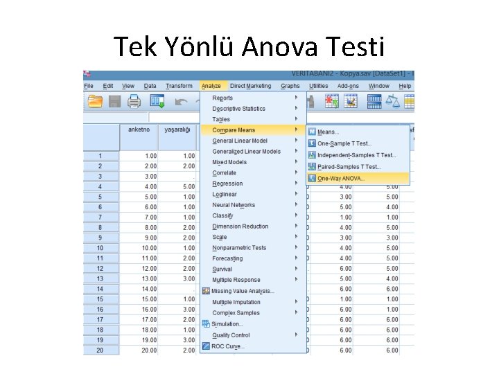 Tek Yönlü Anova Testi 