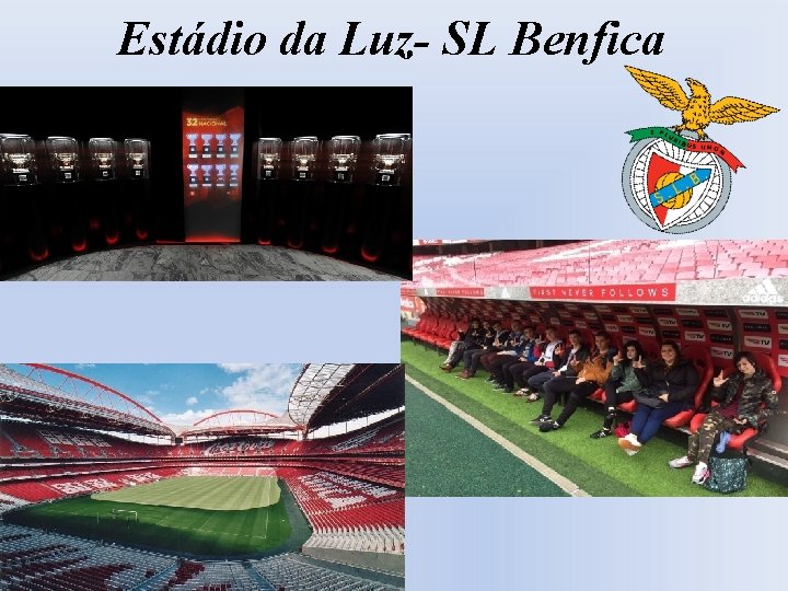Estádio da Luz- SL Benfica 