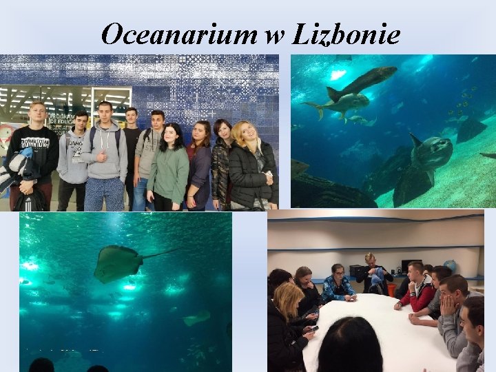 Oceanarium w Lizbonie 