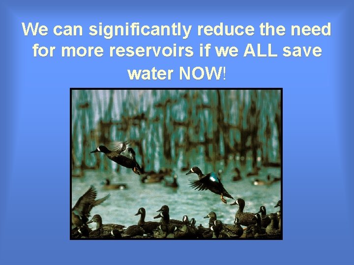 We can significantly reduce the need for more reservoirs if we ALL save water We can significantly reduce the need for more reservoirs if we ALL save water