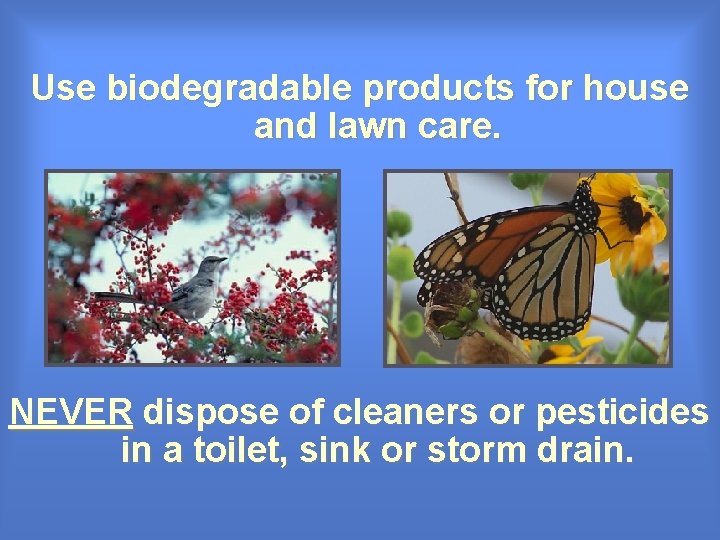 Use biodegradable products for house and lawn care. NEVER dispose of cleaners or pesticides Use biodegradable products for house and lawn care. NEVER dispose of cleaners or pesticides