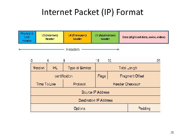 Internet Packet (IP) Format Physical & Link Header L 3 (Internet) Header L 4