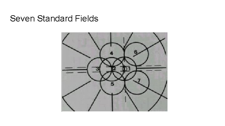 Seven Standard Fields 