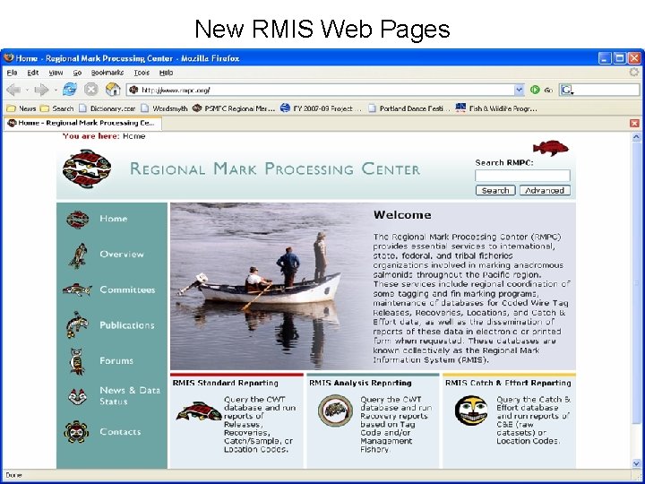 New RMIS Web Pages 