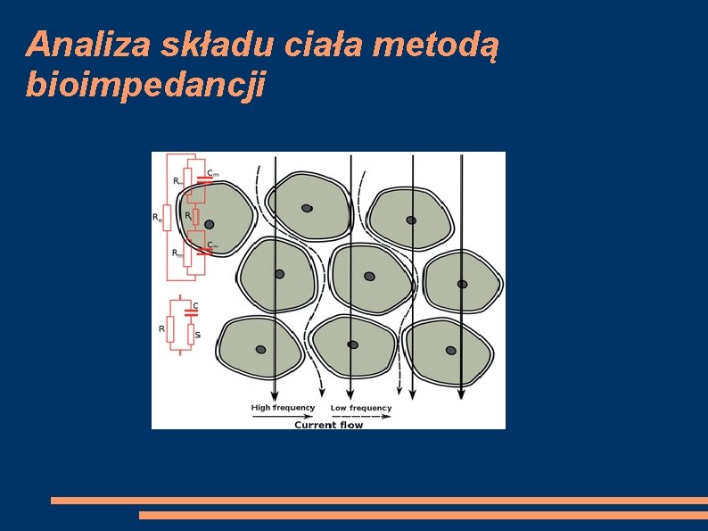 Analiza składu ciała metodą bioimpedancji 