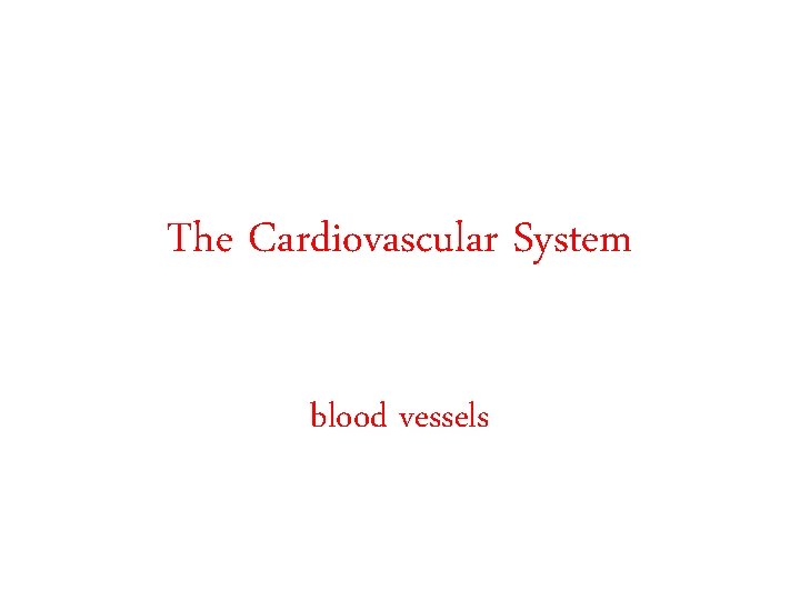 The Cardiovascular System blood vessels 