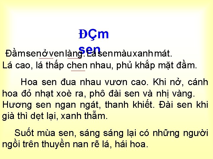 ĐÇm sen Đầm sen ở ven làng. Lá sen màu xanh mát. Lá cao,