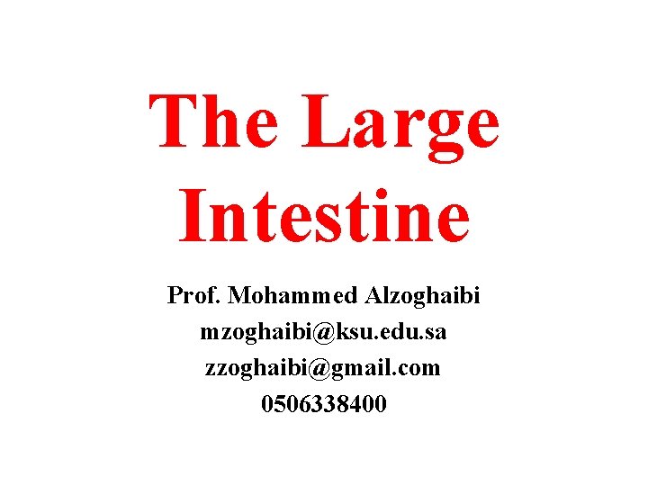 The Large Intestine Prof. Mohammed Alzoghaibi mzoghaibi@ksu. edu. sa zzoghaibi@gmail. com 0506338400 