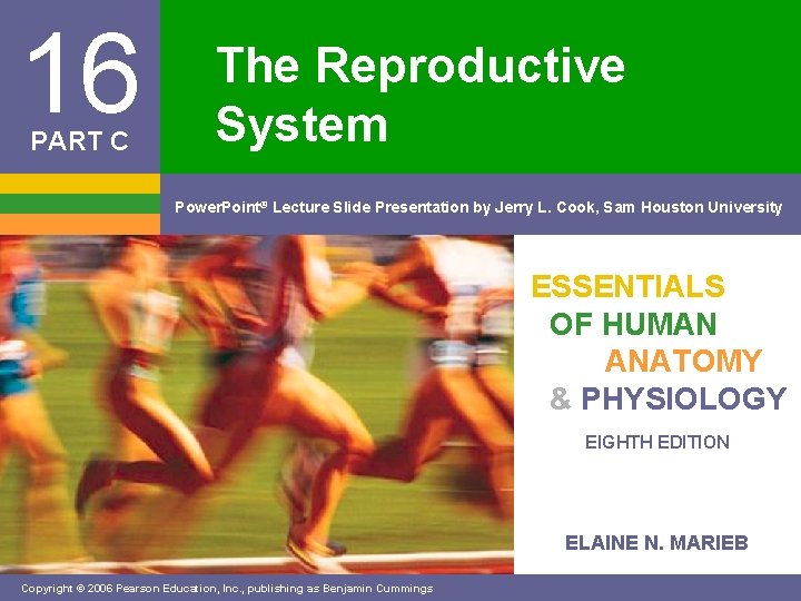 16 PART C The Reproductive System Power. Point® Lecture Slide Presentation by Jerry L.