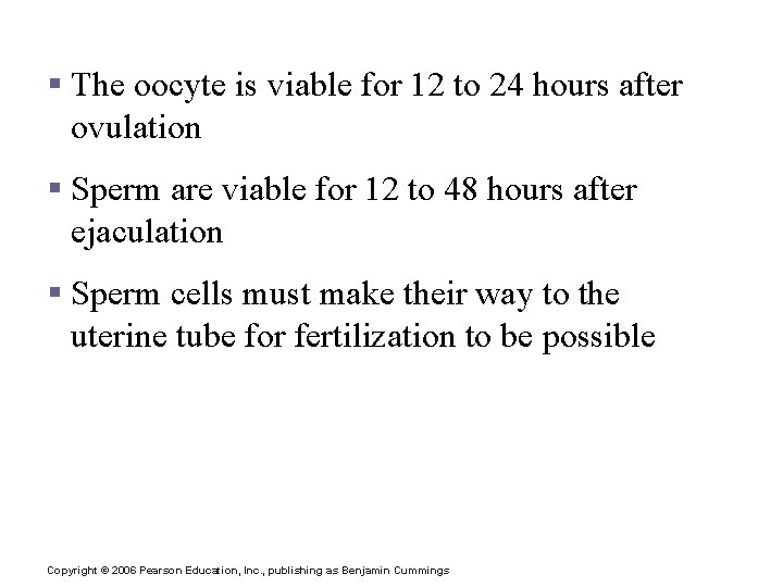 Fertilization § The oocyte is viable for 12 to 24 hours after ovulation §
