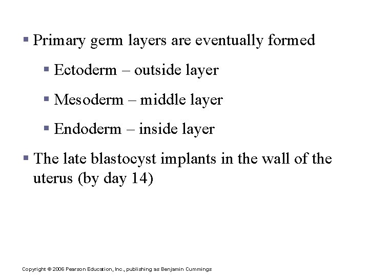 The Blastocyst § Primary germ layers are eventually formed § Ectoderm – outside layer