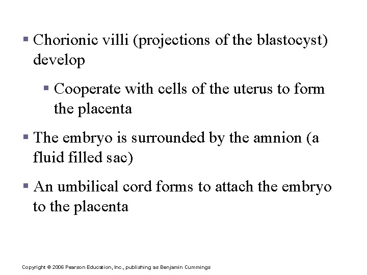 Development After Implantation § Chorionic villi (projections of the blastocyst) develop § Cooperate with