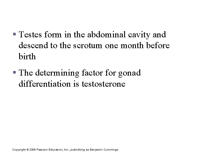 Developmental Aspects of the Reproductive System § Testes form in the abdominal cavity and