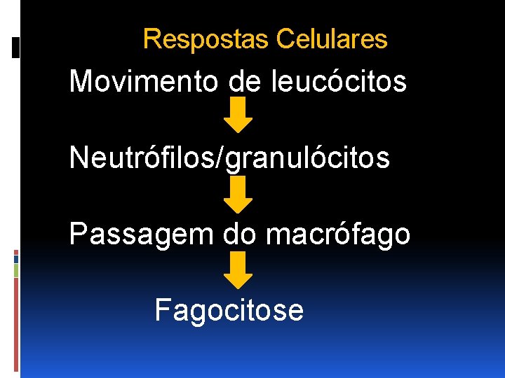 Respostas Celulares Movimento de leucócitos Neutrófilos/granulócitos Passagem do macrófago Fagocitose 