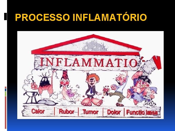 PROCESSO INFLAMATÓRIO 