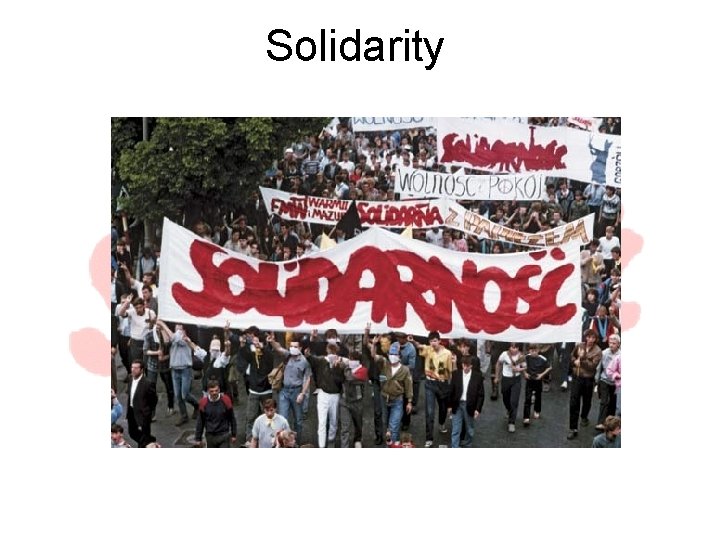 Solidarity 