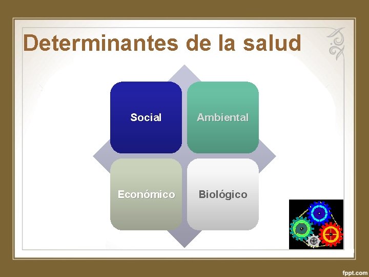 Determinantes de la salud Social Ambiental Económico Biológico 