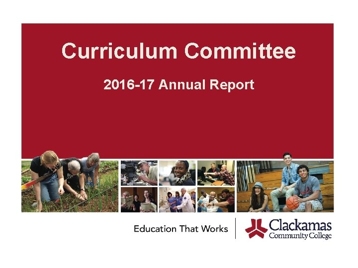 Curriculum Committee 2016 -17 Annual Report 