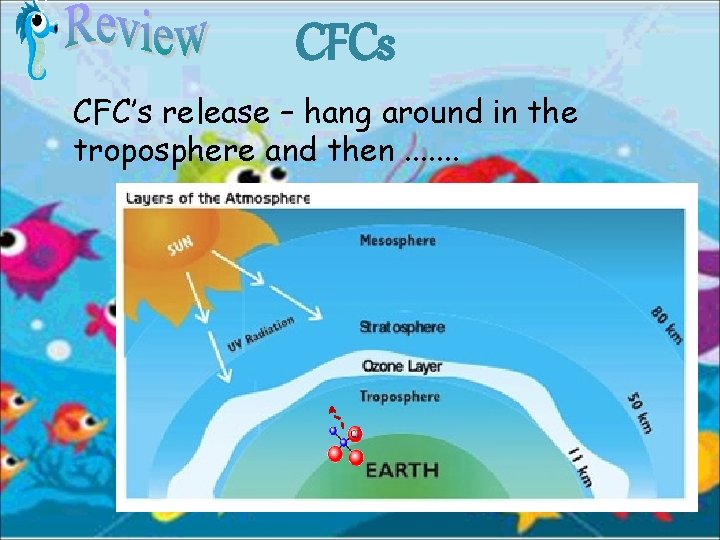 CFCs CFC’s release – hang around in the troposphere and then. . . .