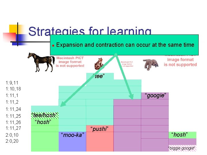 Strategies for learning n Expansion and contraction can occur at the same time “tee”