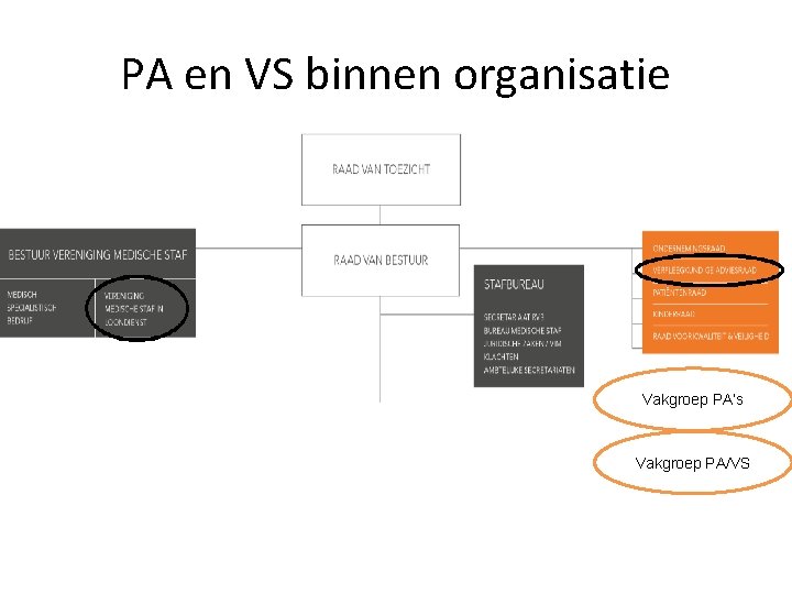 PA en VS binnen organisatie Vakgroep PA’s Vakgroep PA/VS 