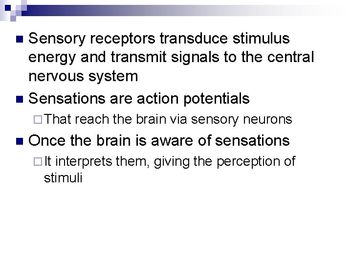 Sensory receptors transduce stimulus energy and transmit signals to the central nervous system n