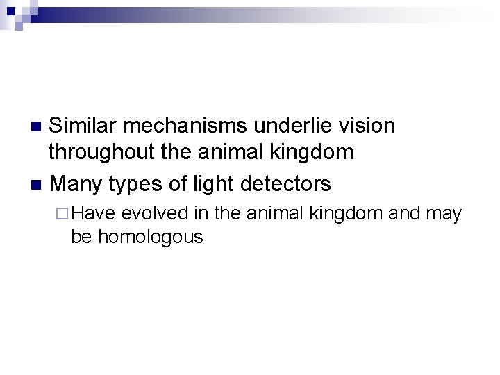 Similar mechanisms underlie vision throughout the animal kingdom n Many types of light detectors