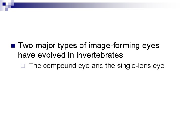 n Two major types of image-forming eyes have evolved in invertebrates ¨ The compound
