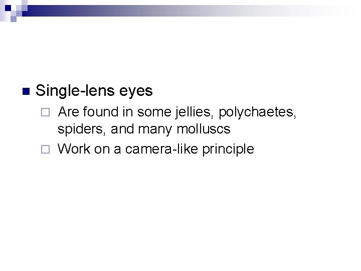 n Single-lens eyes Are found in some jellies, polychaetes, spiders, and many molluscs ¨