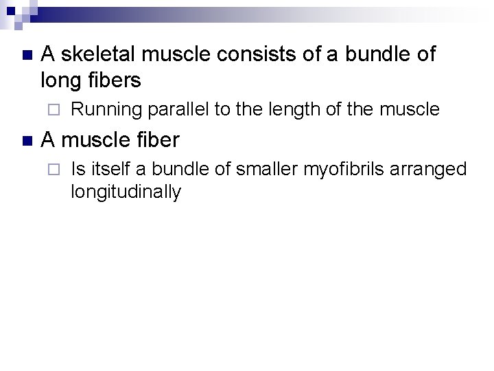 n A skeletal muscle consists of a bundle of long fibers ¨ n Running