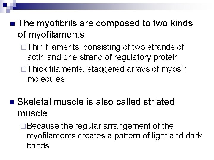 n The myofibrils are composed to two kinds of myofilaments ¨ Thin filaments, consisting